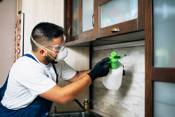 Best Pest Inspection Near Me  in Hawaiian Paradise Park, HI