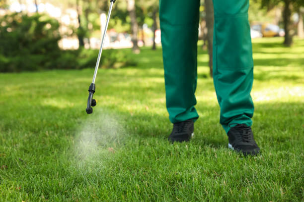 Best Affordable Pest Control Services  in Hawaiian Paradise Park, HI