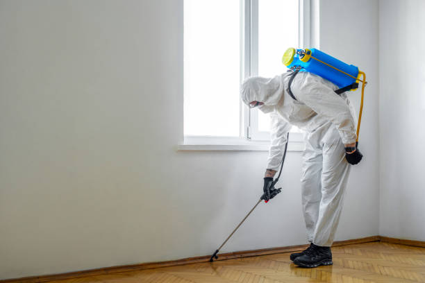 Best Commercial Pest Control Services  in Hawaiian Paradise Park, HI