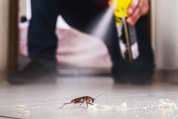 Best Pest Removal Services  in Hawaiian Paradise Park, HI
